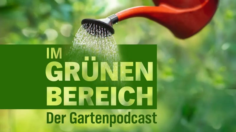 Logo des NDR Gartenpodcasts mit einer roten Gießkanne von oben rechts.